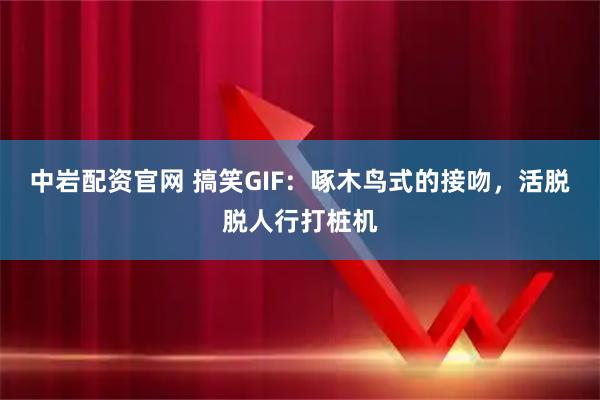 中岩配资官网 搞笑GIF：啄木鸟式的接吻，活脱脱人行打桩机