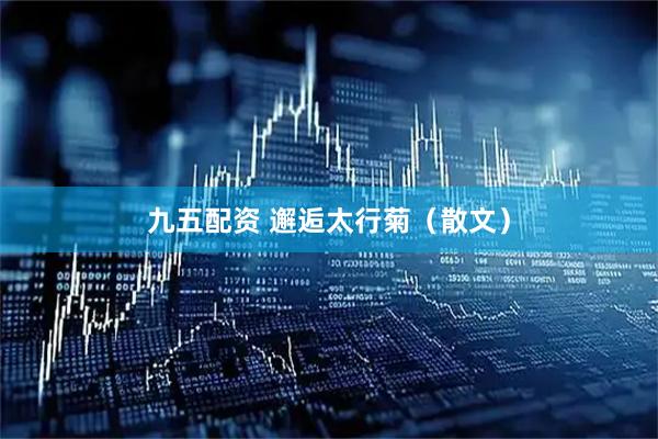 九五配资 邂逅太行菊（散文）